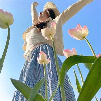 龙虎大贼少双手